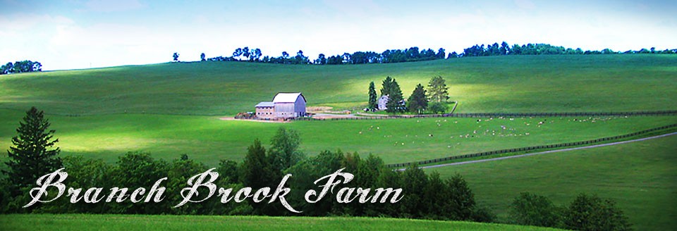 Branch Brook Farm